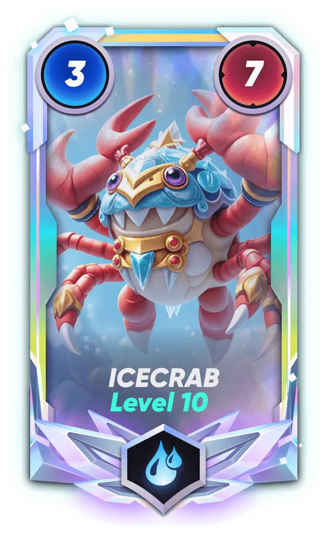 Fusion Card 5